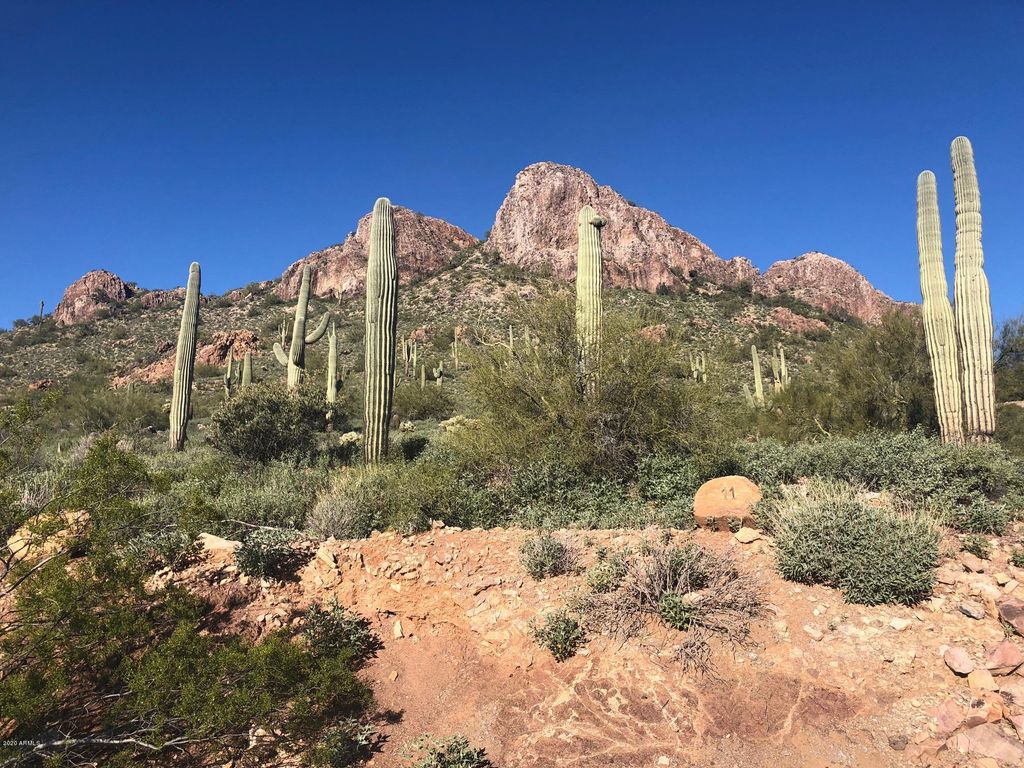 Photo of 9766 E Dead Sure Place #10, Gold Canyon, AZ 85118 (MLS # 6435812)