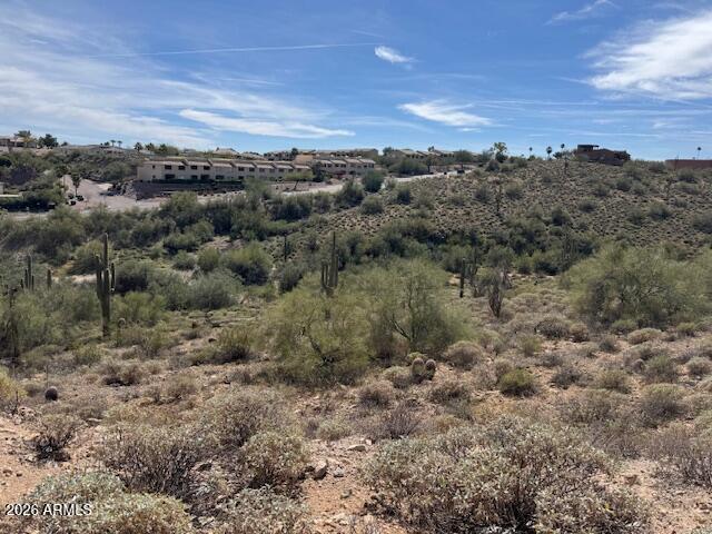 16067 E PINCUSHION Way 3