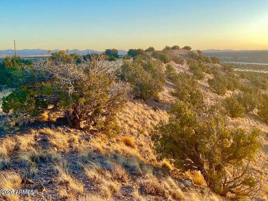 TBD Co Rd 5060 1.38 Acres -- -