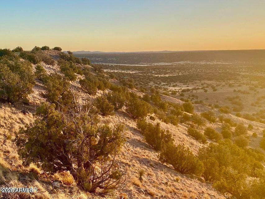 TBD Co Rd 5060 1.38 Acres -- -