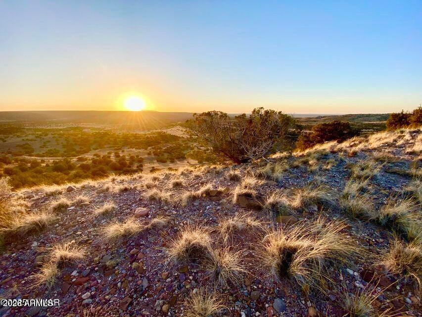 TBD Co Rd 5060 1.38 Acres -- -