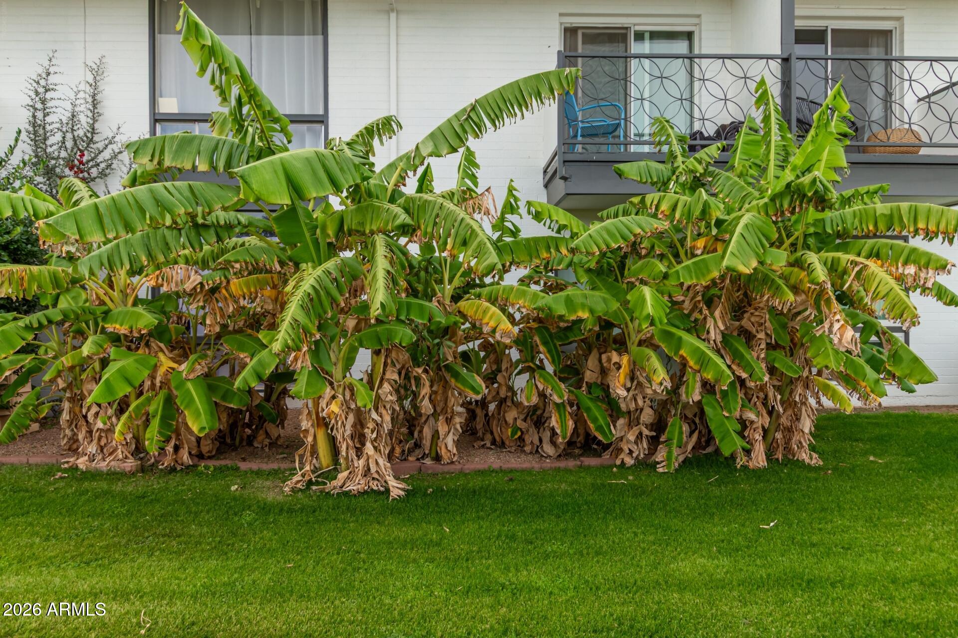 MARTINIQUE - Residential