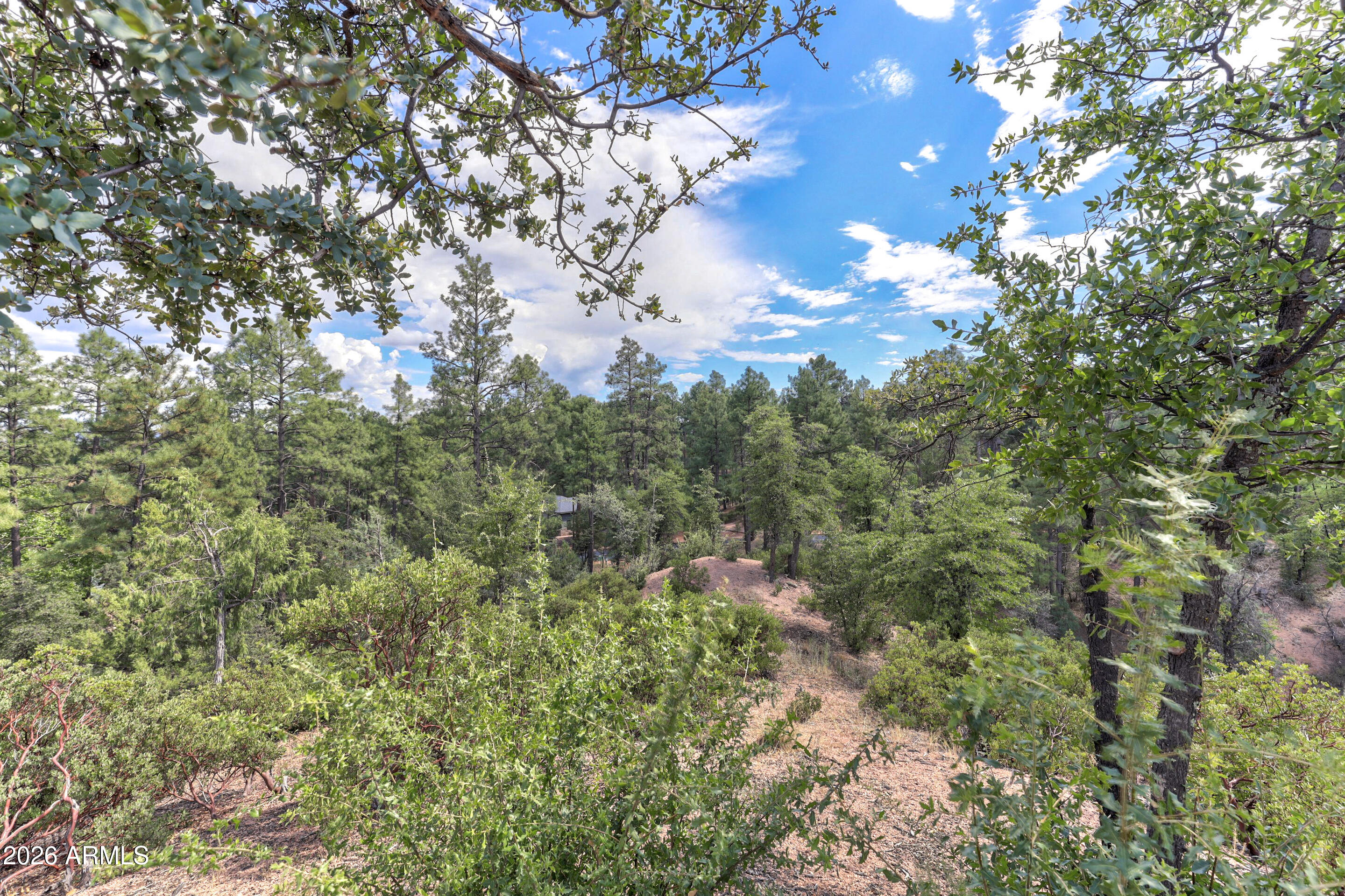 CHAPARRAL PINES PHASE 1 - Land