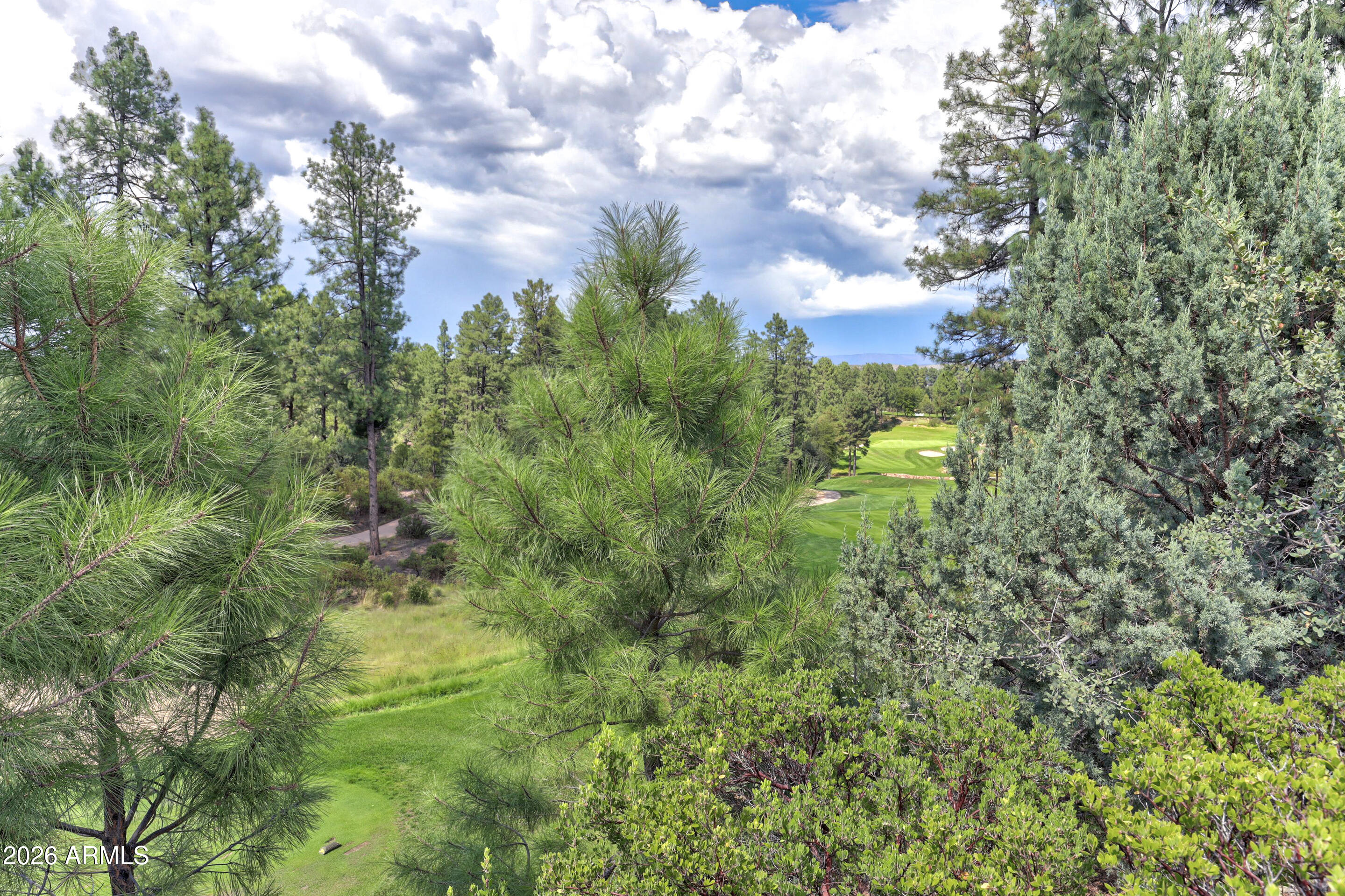 2502 E GRAPEVINE Drive 347