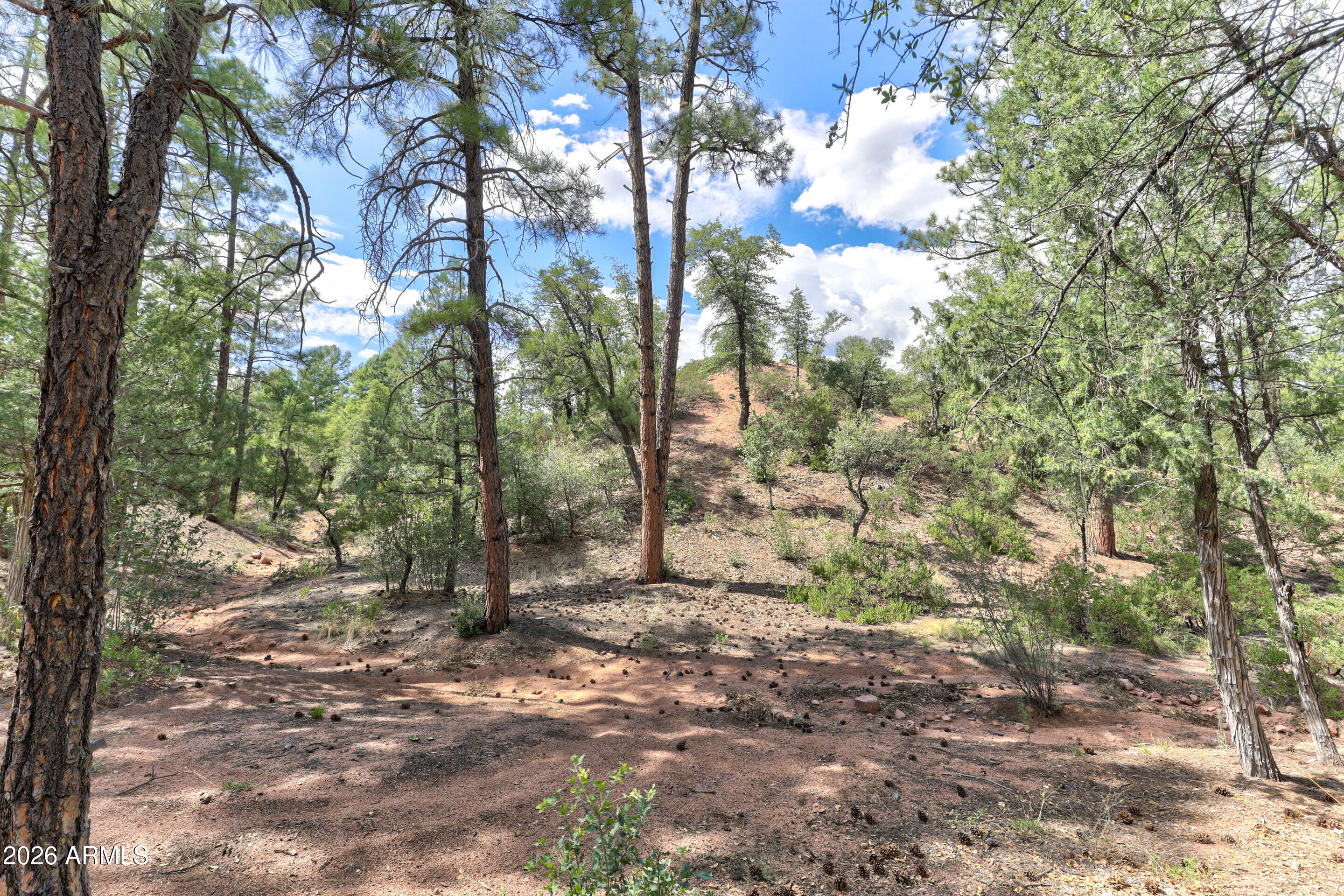 CHAPARRAL PINES PHASE 1 - Land