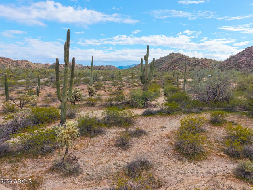 Tucked away at the foot of the mountain, this breathtaking 5-acre parcel offers the rare combination of total privacy and unforgettable views. Towering saguaro cacti and pristine native desert brush create a dramatic, timeless landscape--untouched, peaceful, and uniquely Southwestern.
With its high elevation, the property opens up to sweeping vistas by day and sparkling city lights by night, delivering the perfect balance of seclusion and connection. Whether you're envisioning a private retreat, custom estate, or legacy property, this land provides a stunning natural canvas where the desert meets the sky.