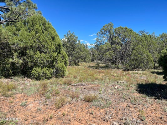 5541 GRAY WOLF DR, LAKESIDE, AZ 85929 - Image 2ded2a1613a2b8bf5fa95dabf0f02a56/1384411794