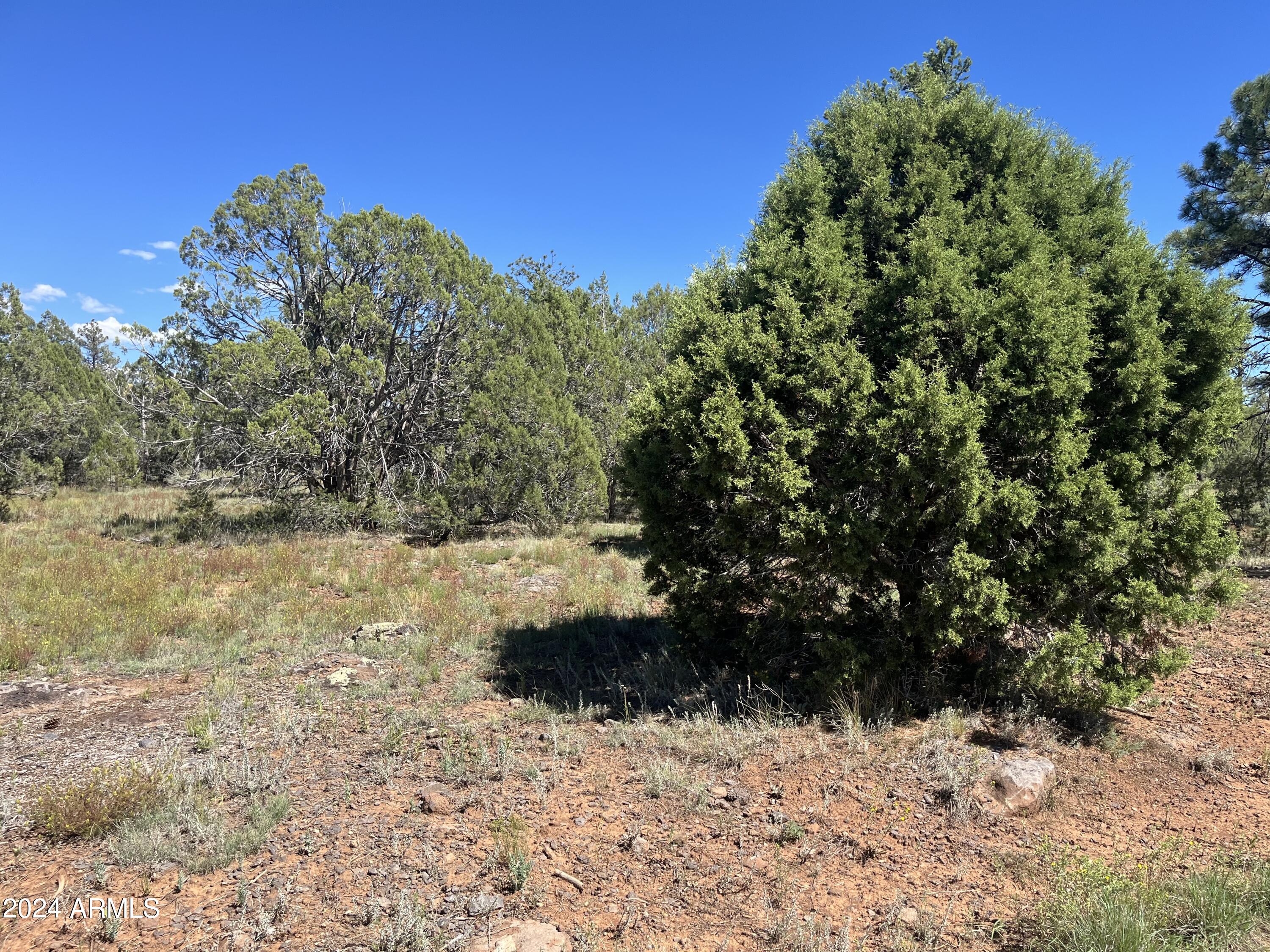 5541 GRAY WOLF Drive 43