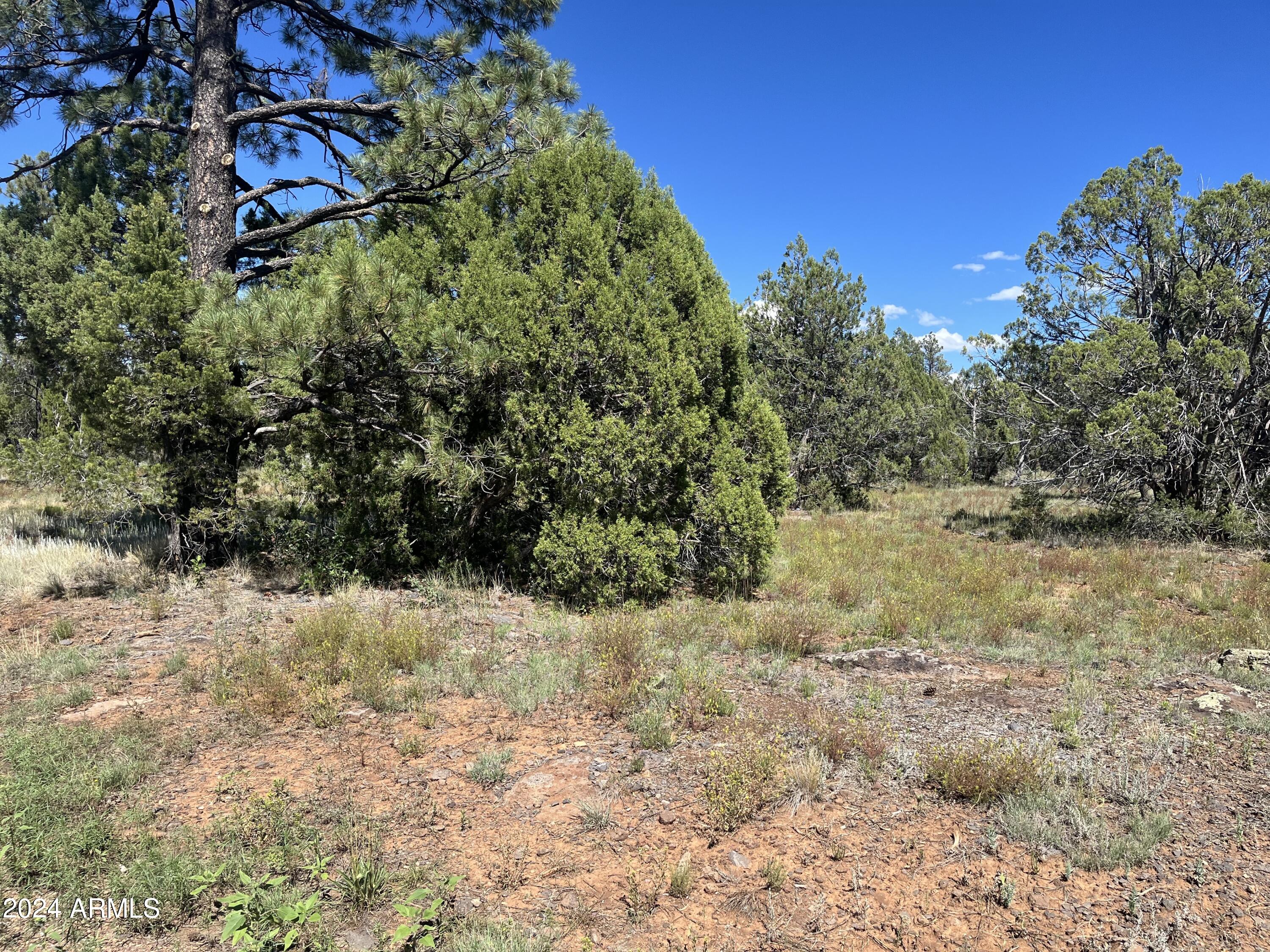 5541 GRAY WOLF Drive 43