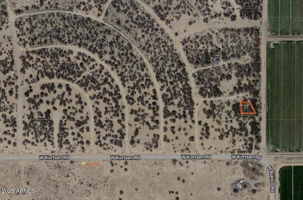 Desert Carmel 1