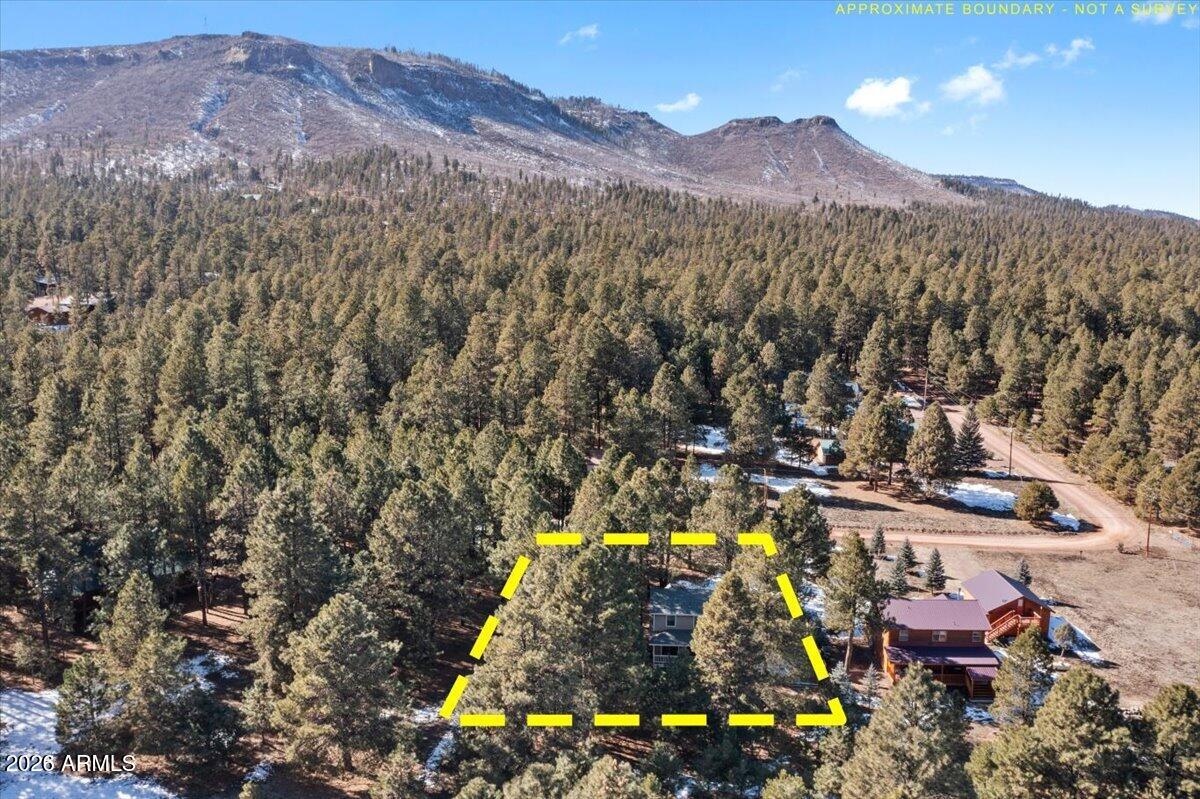 ALPINE VILLAGE EAST - Residential
