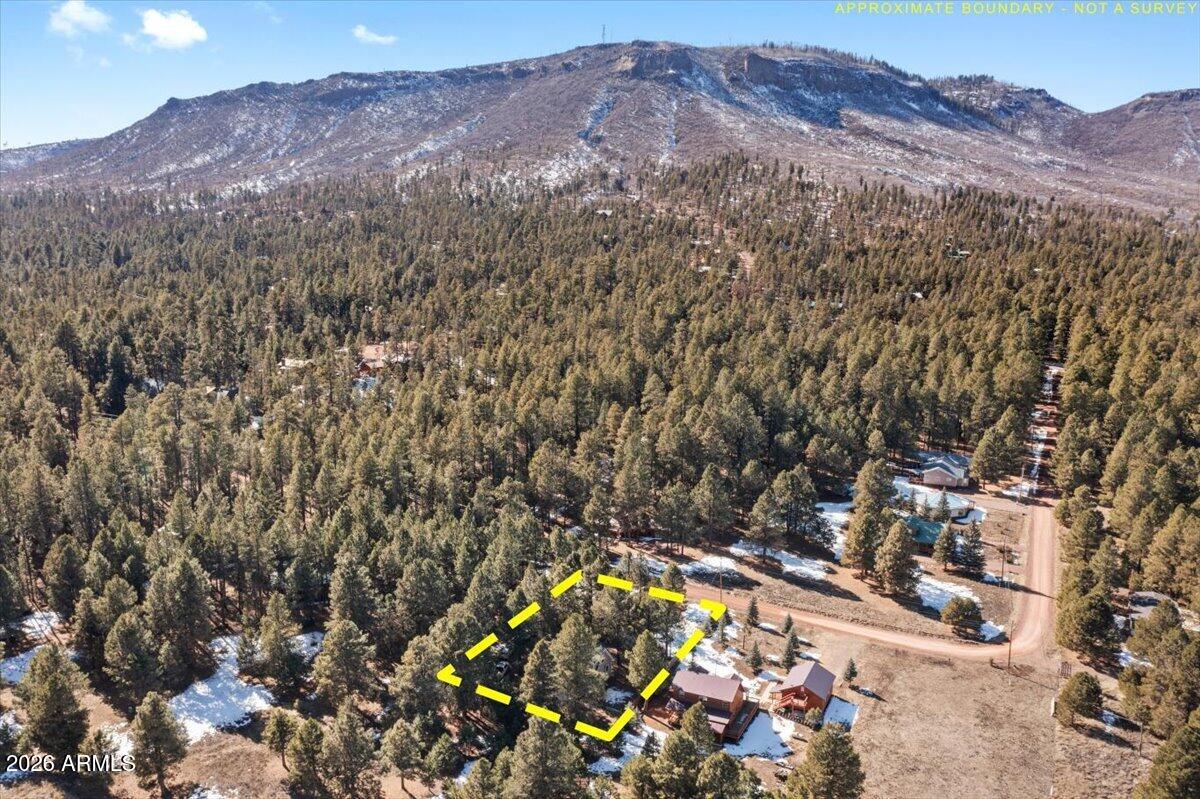 ALPINE VILLAGE EAST - Residential