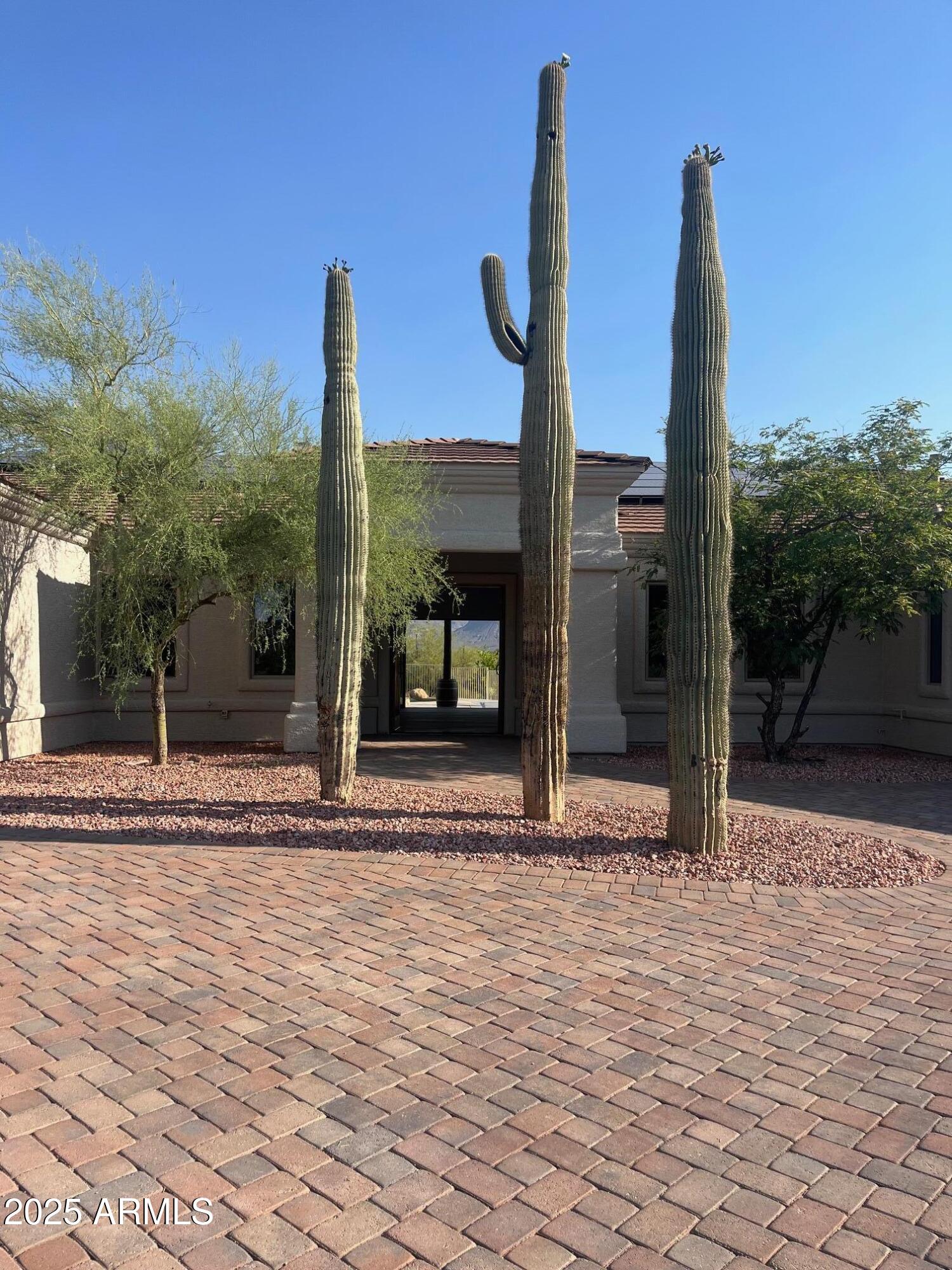 6058 E skyline Drive