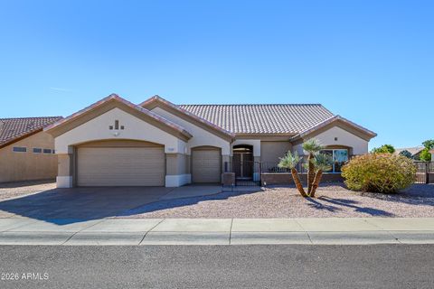 14229 W ROBERTSON Drive Sun City West AZ 85375