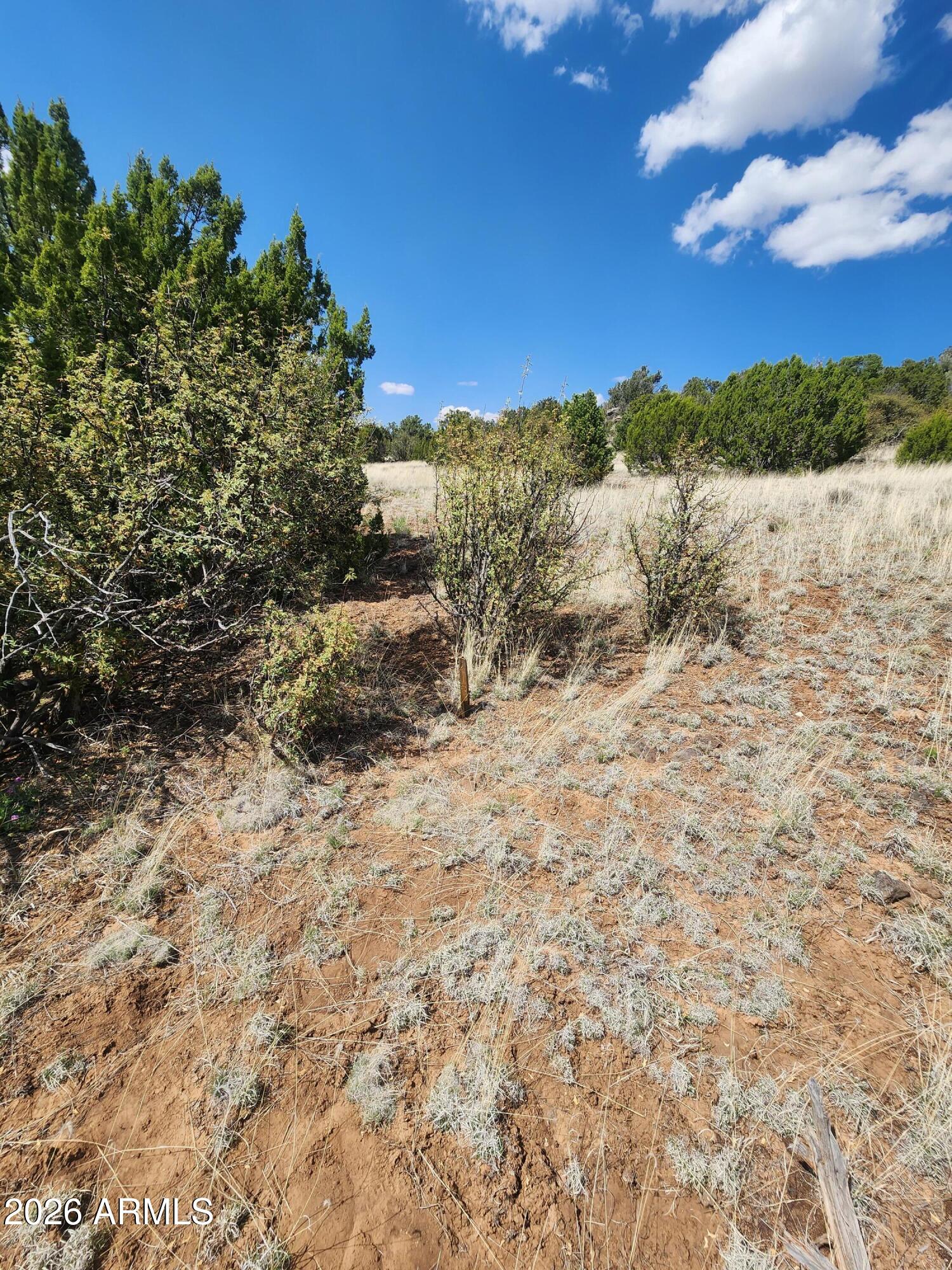 SHOW LOW PINES UNIT 6 - Land