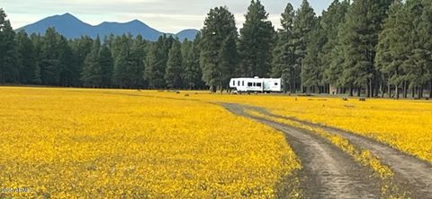 XXXXX E Newman Park Rd -- 2 Flagstaff AZ 86005