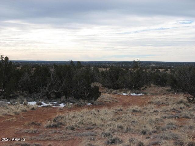L 98 & 99 Chevelon Canyon Ranch #1 -- 98 & 99