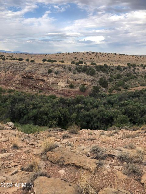 100 River Springs Ranch -- 100 St Johns AZ 85936