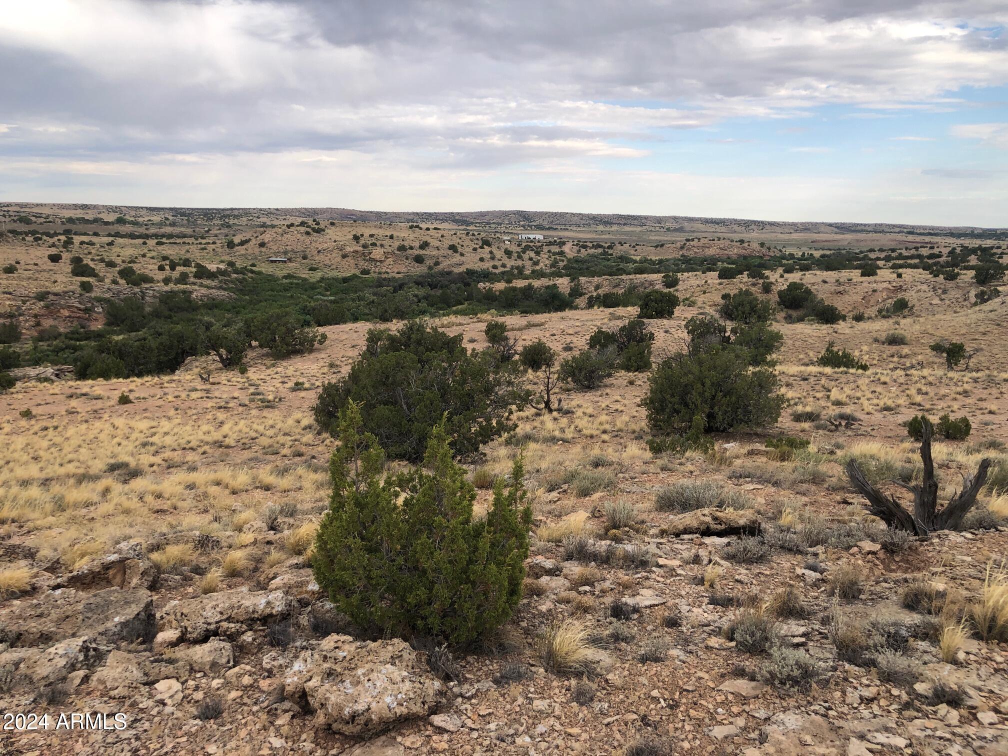 100 River Springs Ranch -- 100