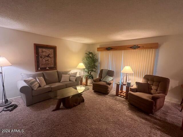 25246 S GLENBURN Drive