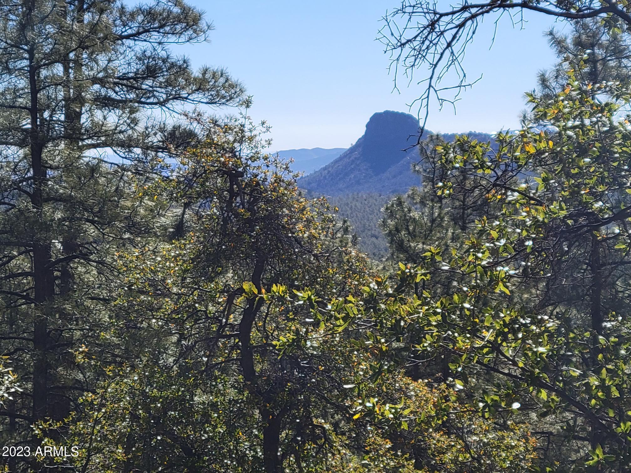 00 Ives Canyon Trail 131