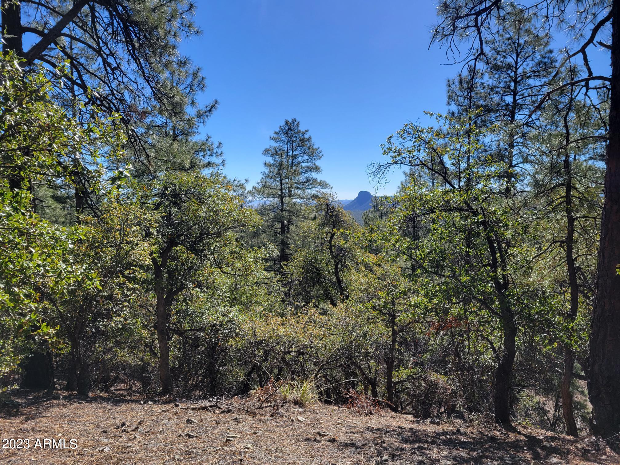 00 Ives Canyon Trail 131