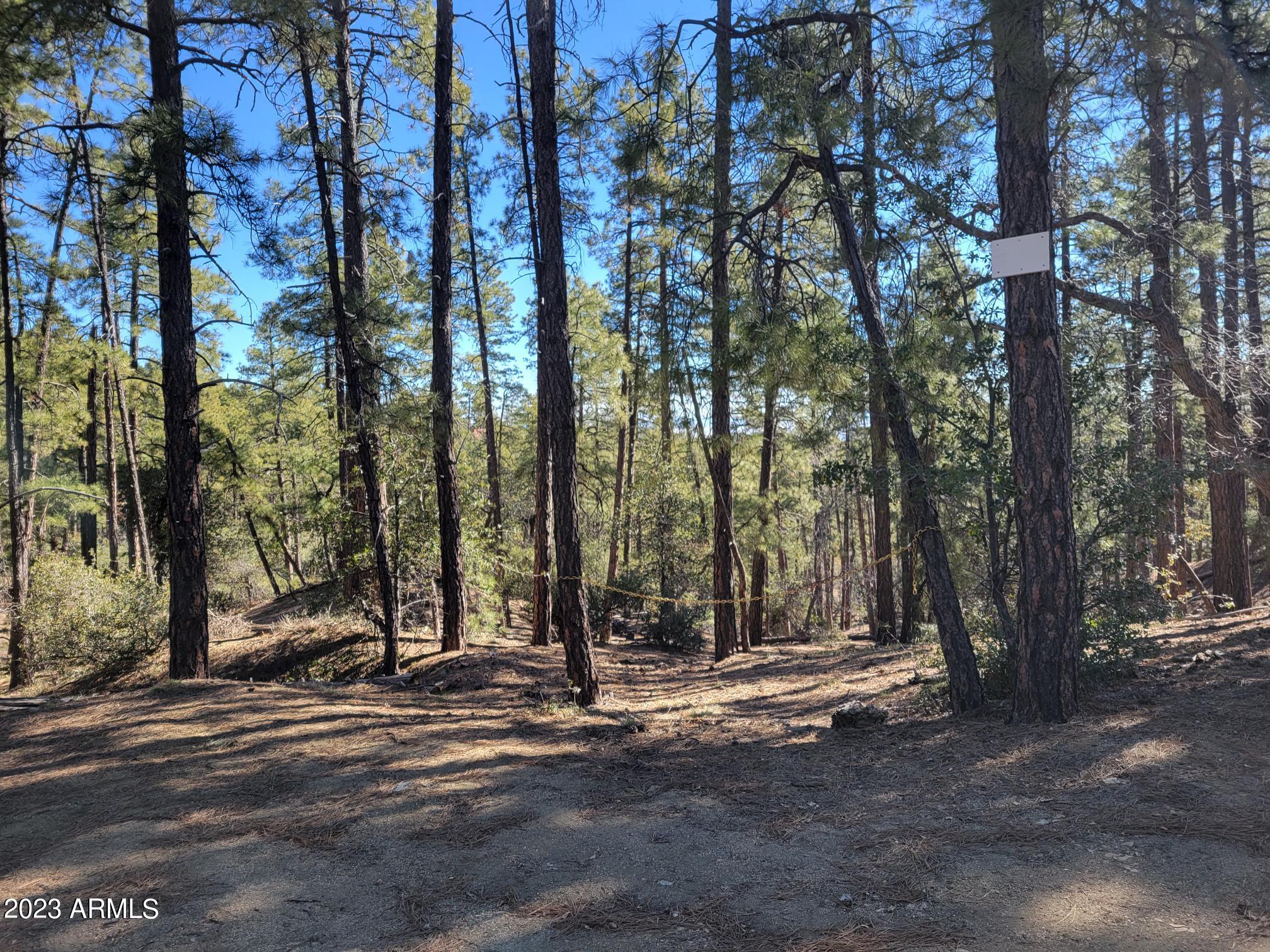 00 Ives Canyon Trail 131