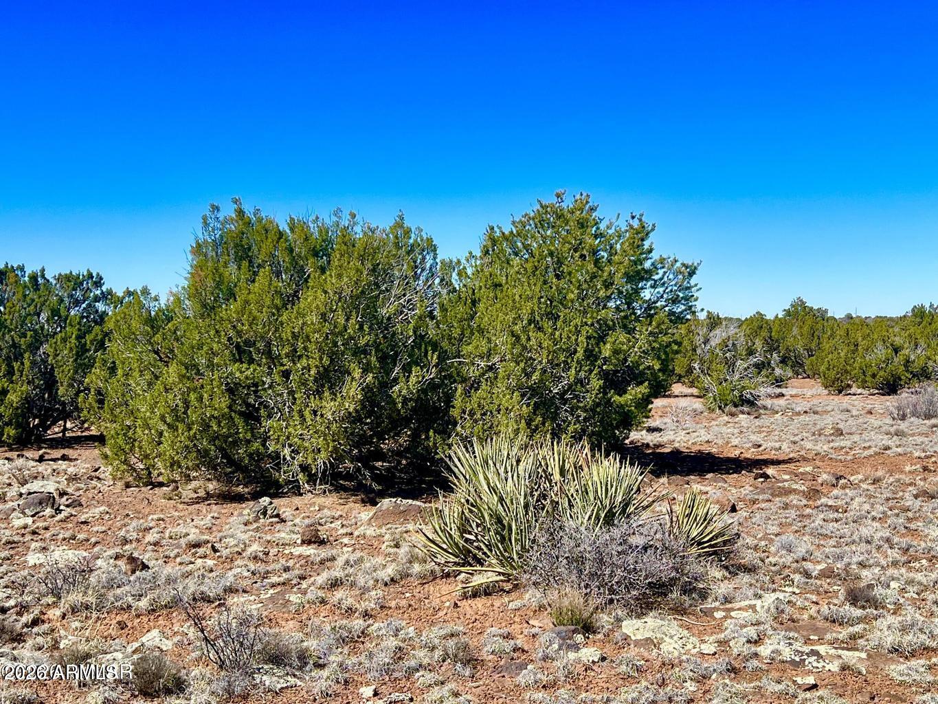 Show Low Pines - Land