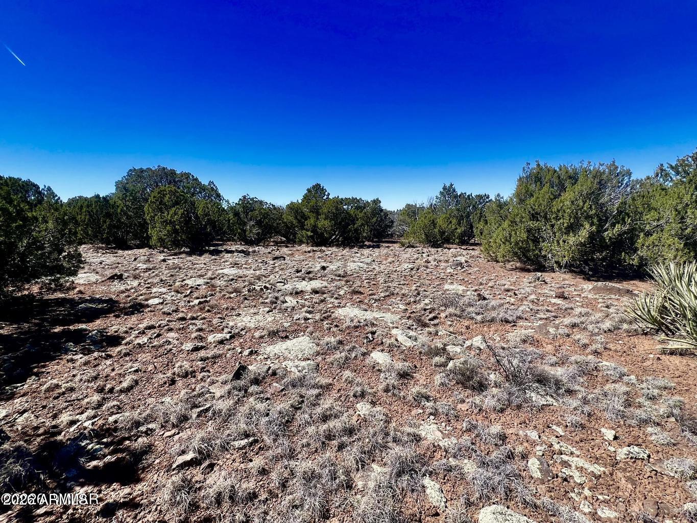 Show Low Pines - Land