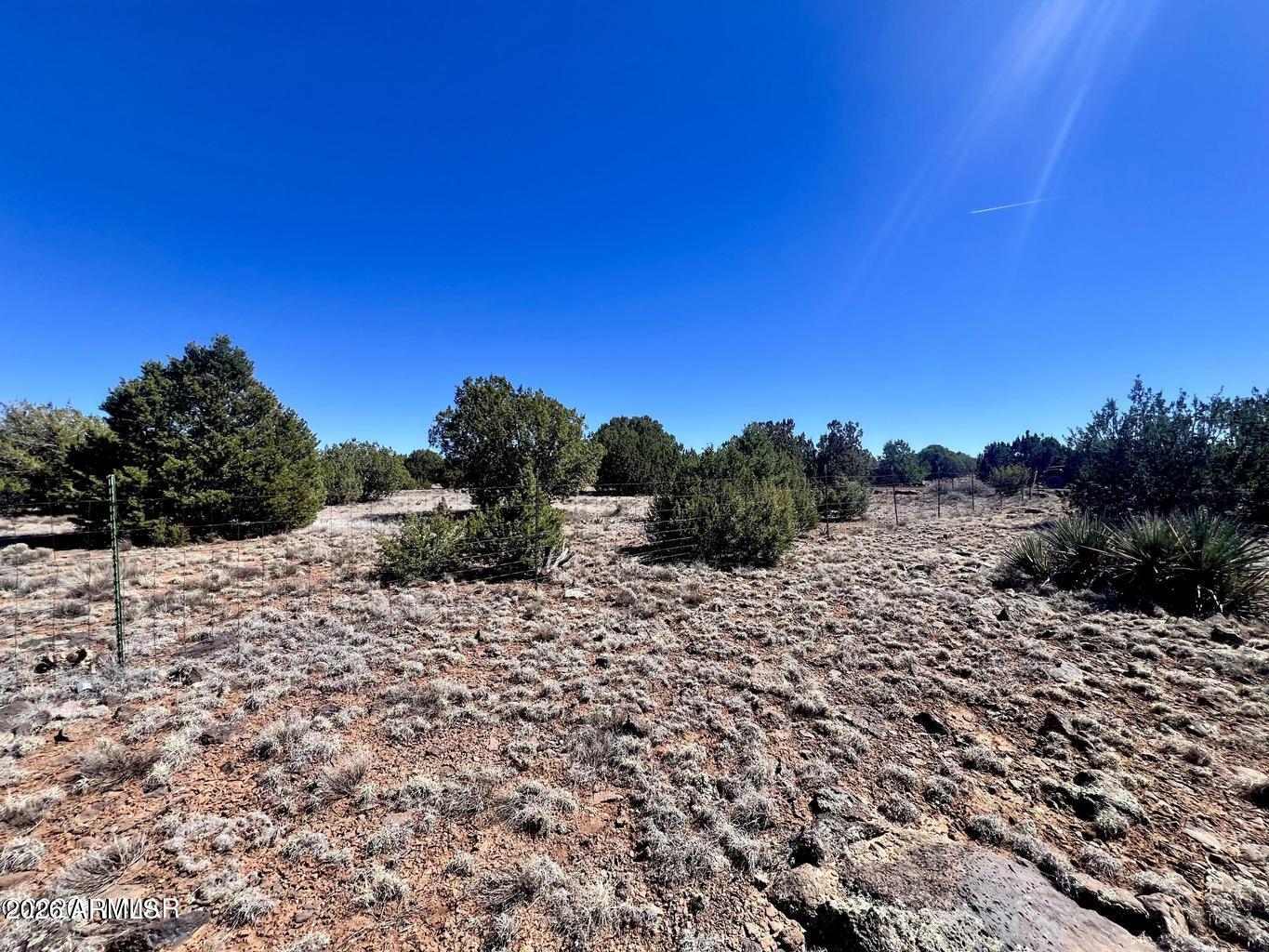 Show Low Pines - Land