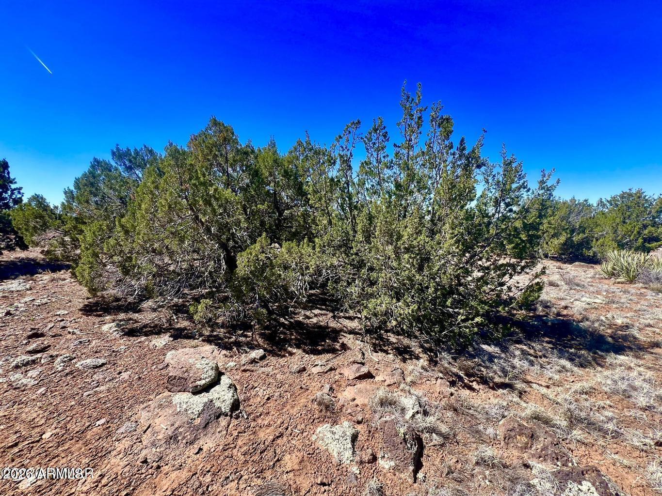 Show Low Pines - Land