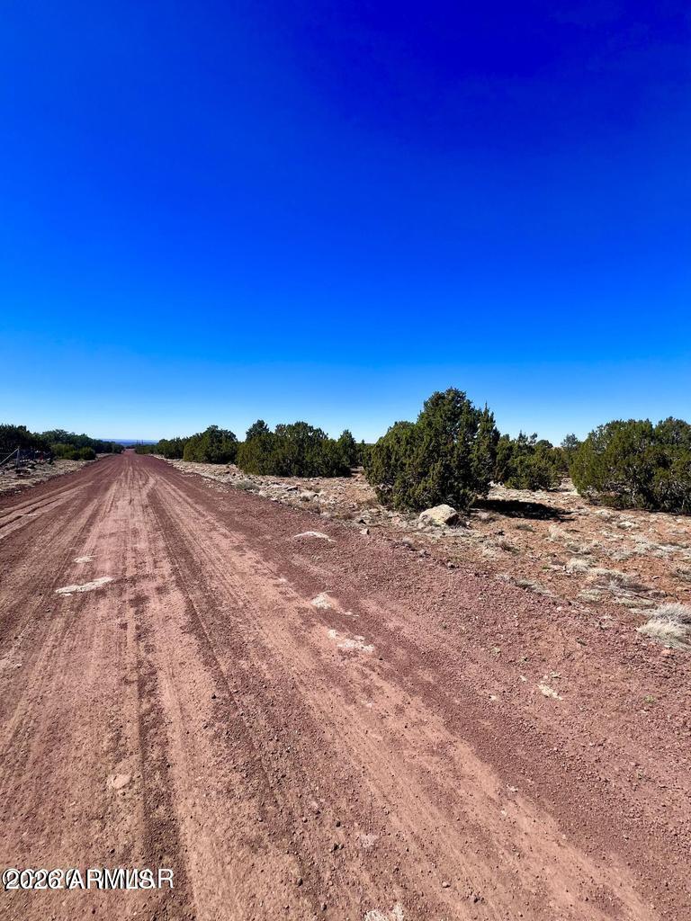 TBD Co Rd 8307 Lot 100 -- -