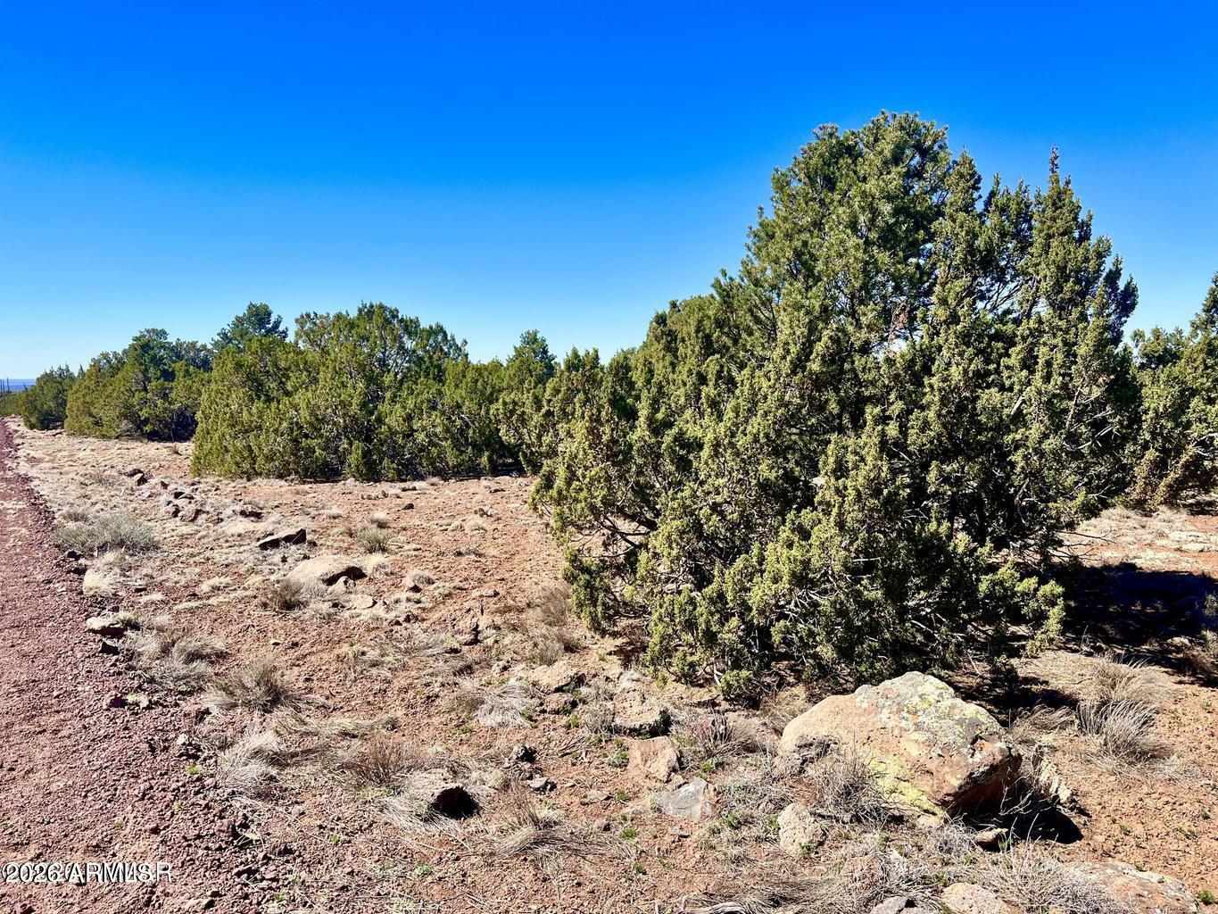 Show Low Pines - Land
