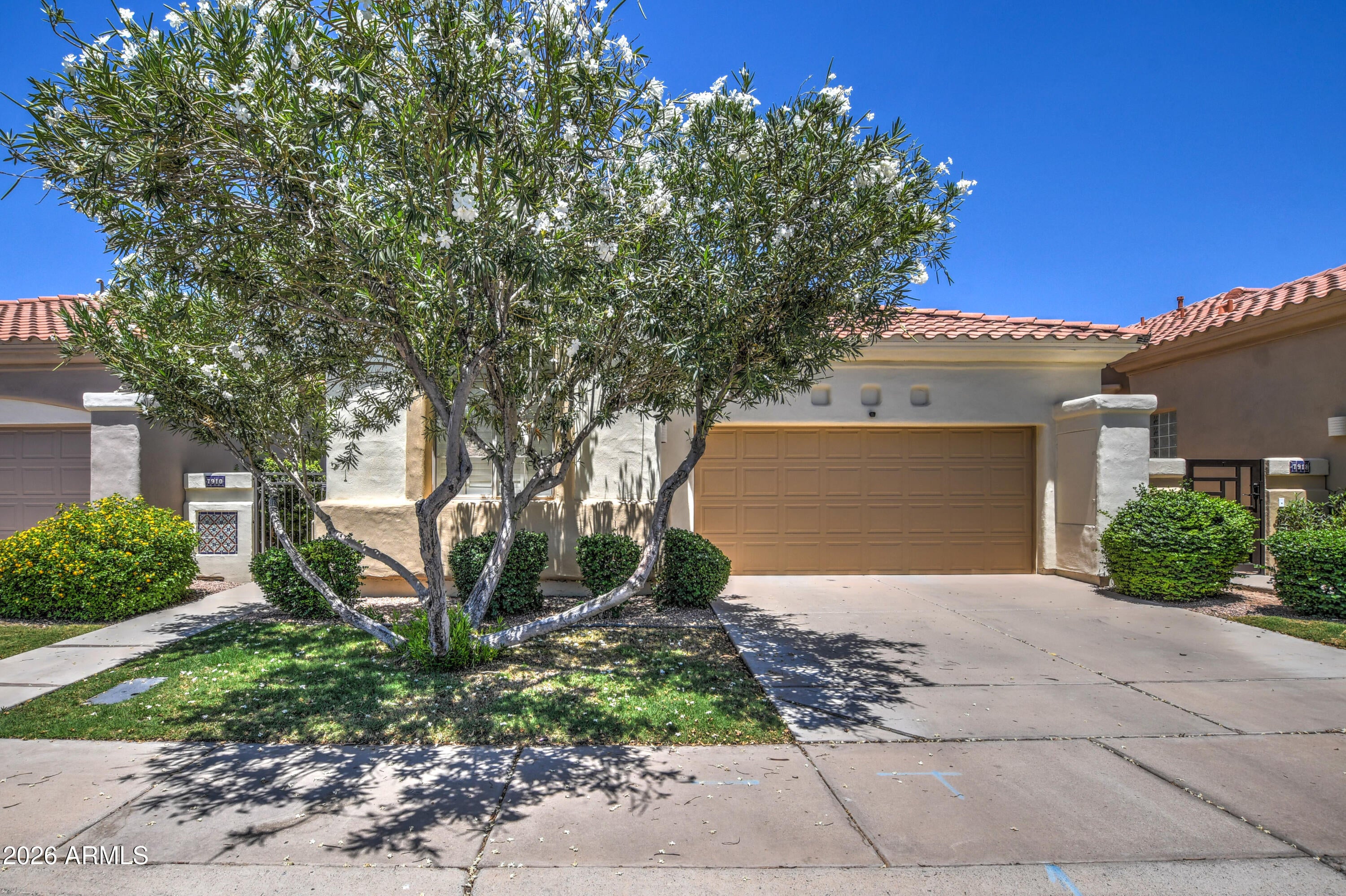 7910 E Cholla Street