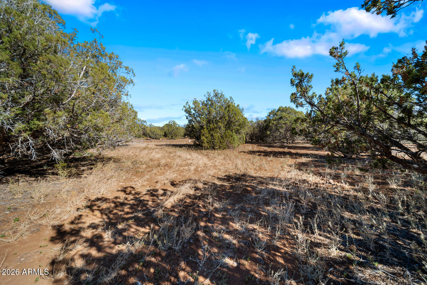 Lake Land Ranches - Land