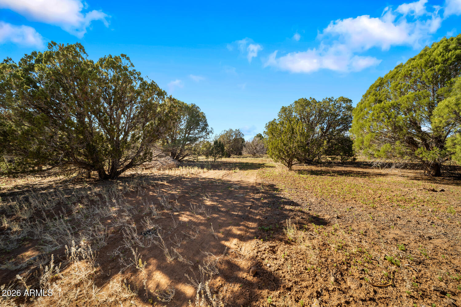 1862 Pronghorn Road 31