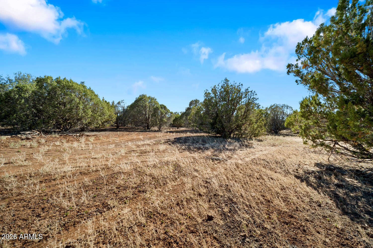 1862 Pronghorn Road 31