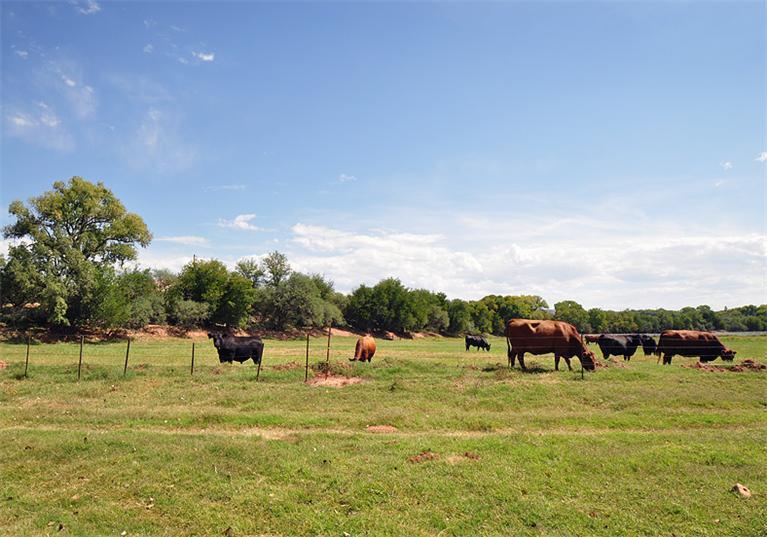 5 Acres or More - Residential
