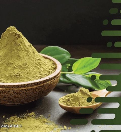 0000 E XXXXXXX Avenue Mesa AZ 85205