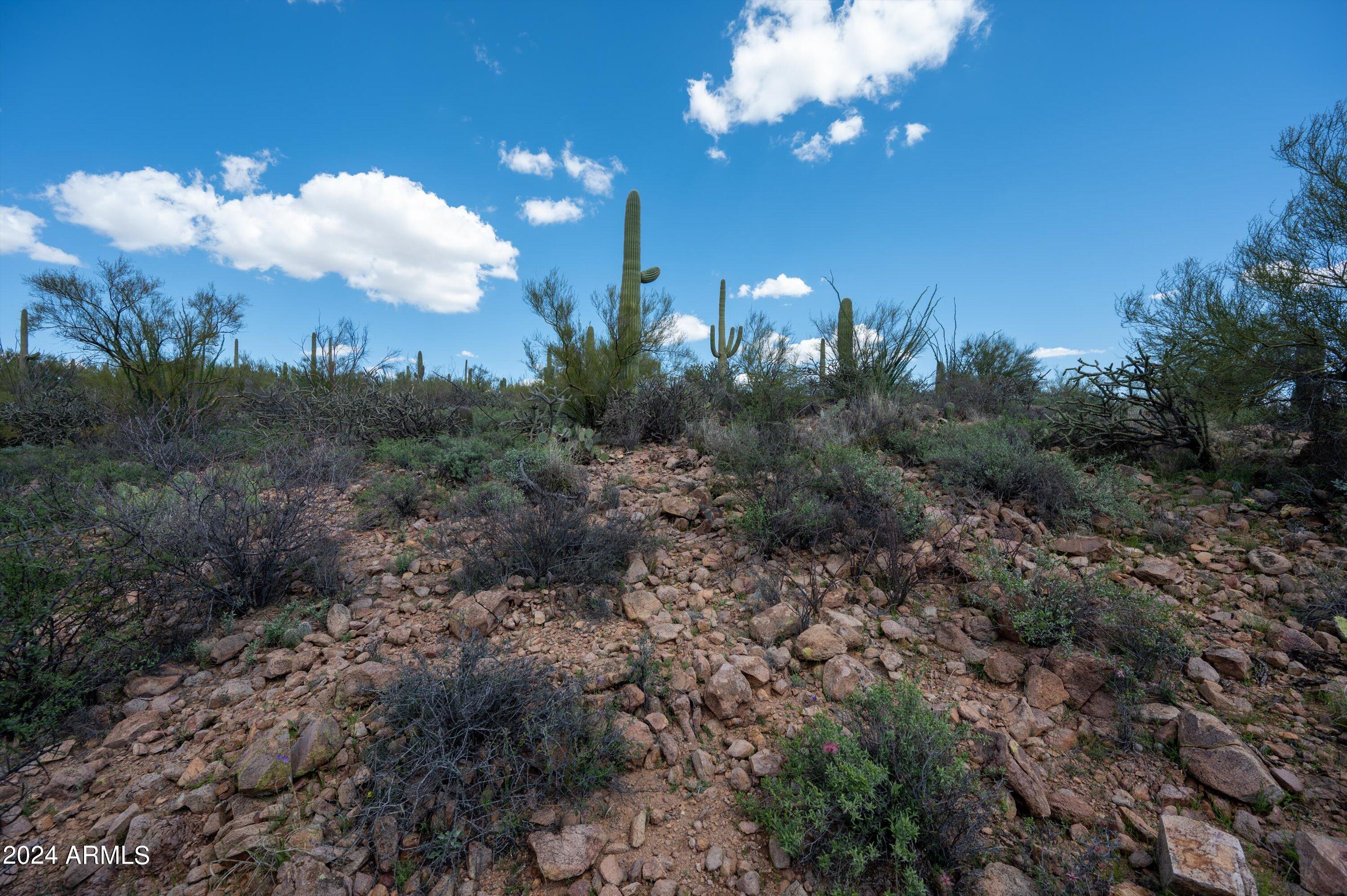 View Tucson, AZ 85745 land