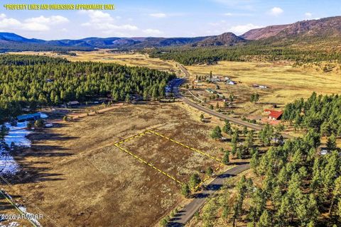 179 COUNTY ROAD 2266 -- 3 Alpine AZ 85920