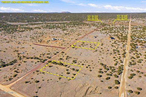69 ACR 8209 -- - Concho AZ 85924