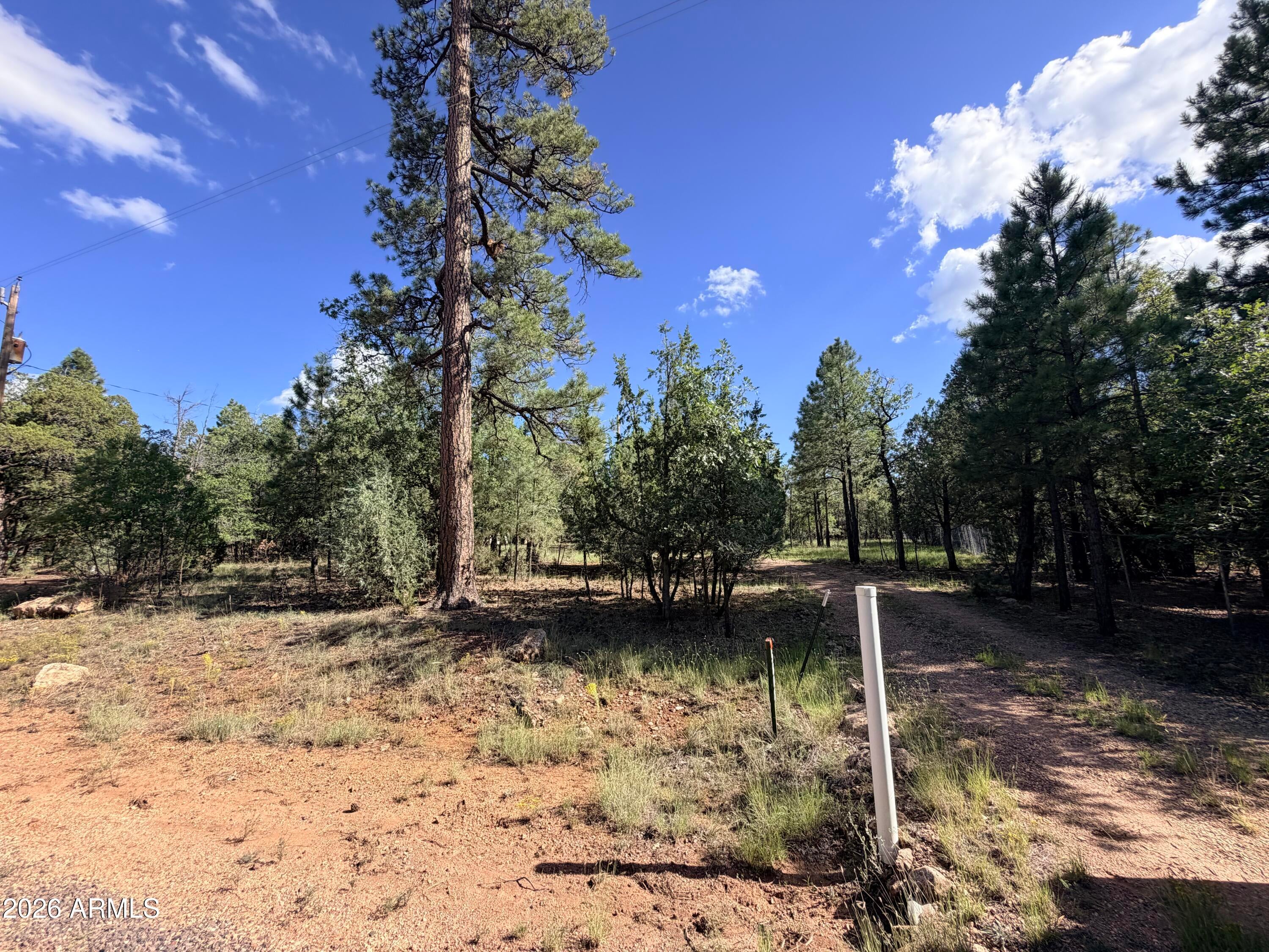 5808 PINE NEEDLE Drive 225