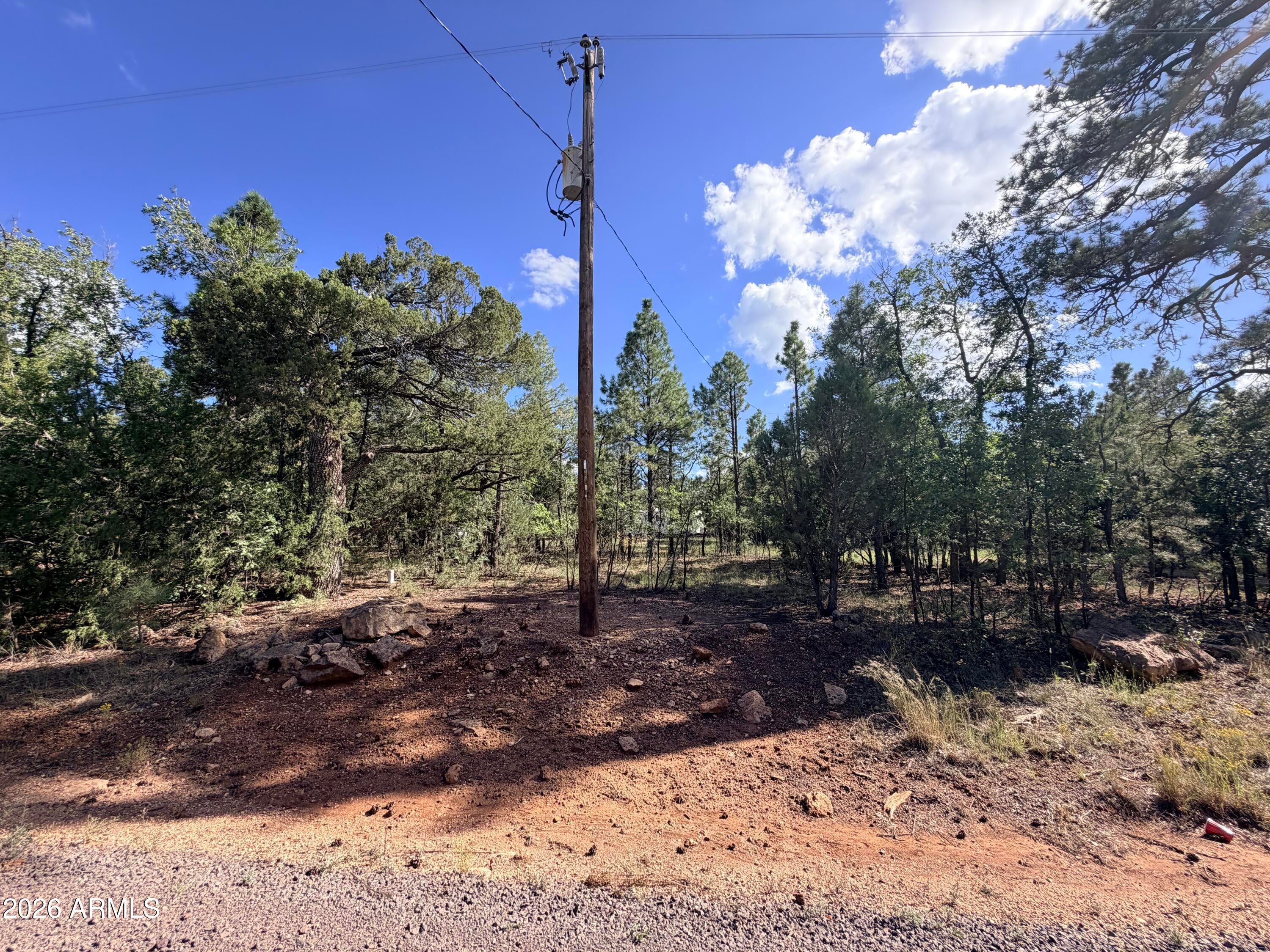 5808 PINE NEEDLE Drive 225