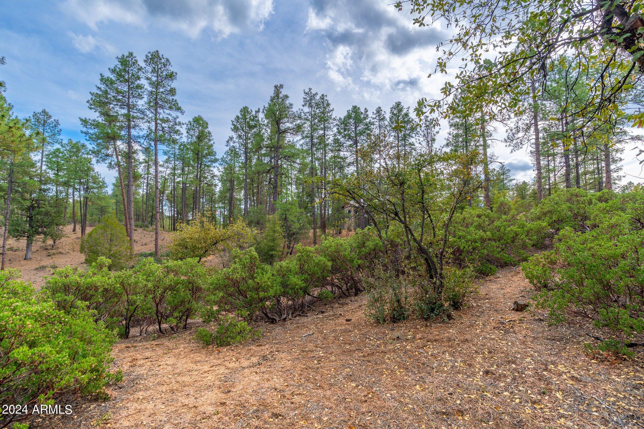 RIM GOLF CLUB PHASE 2 - Land