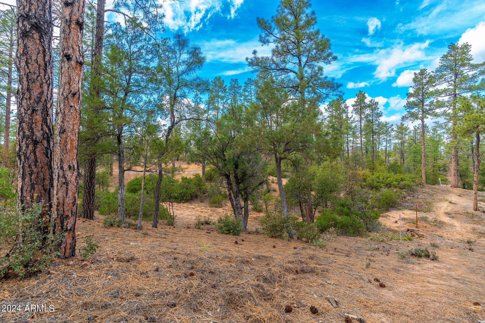 RIM GOLF CLUB PHASE 2 - Land