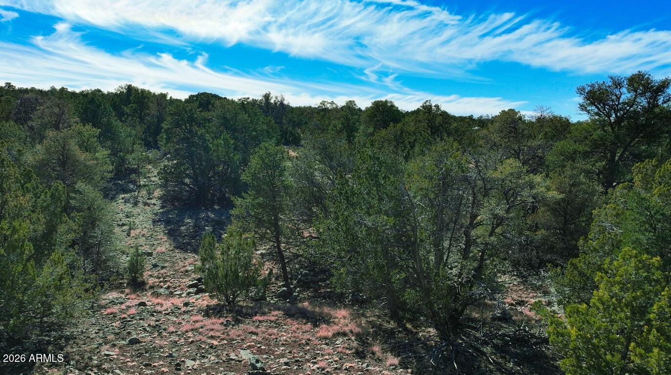 766 E HUALPAI Trail 178