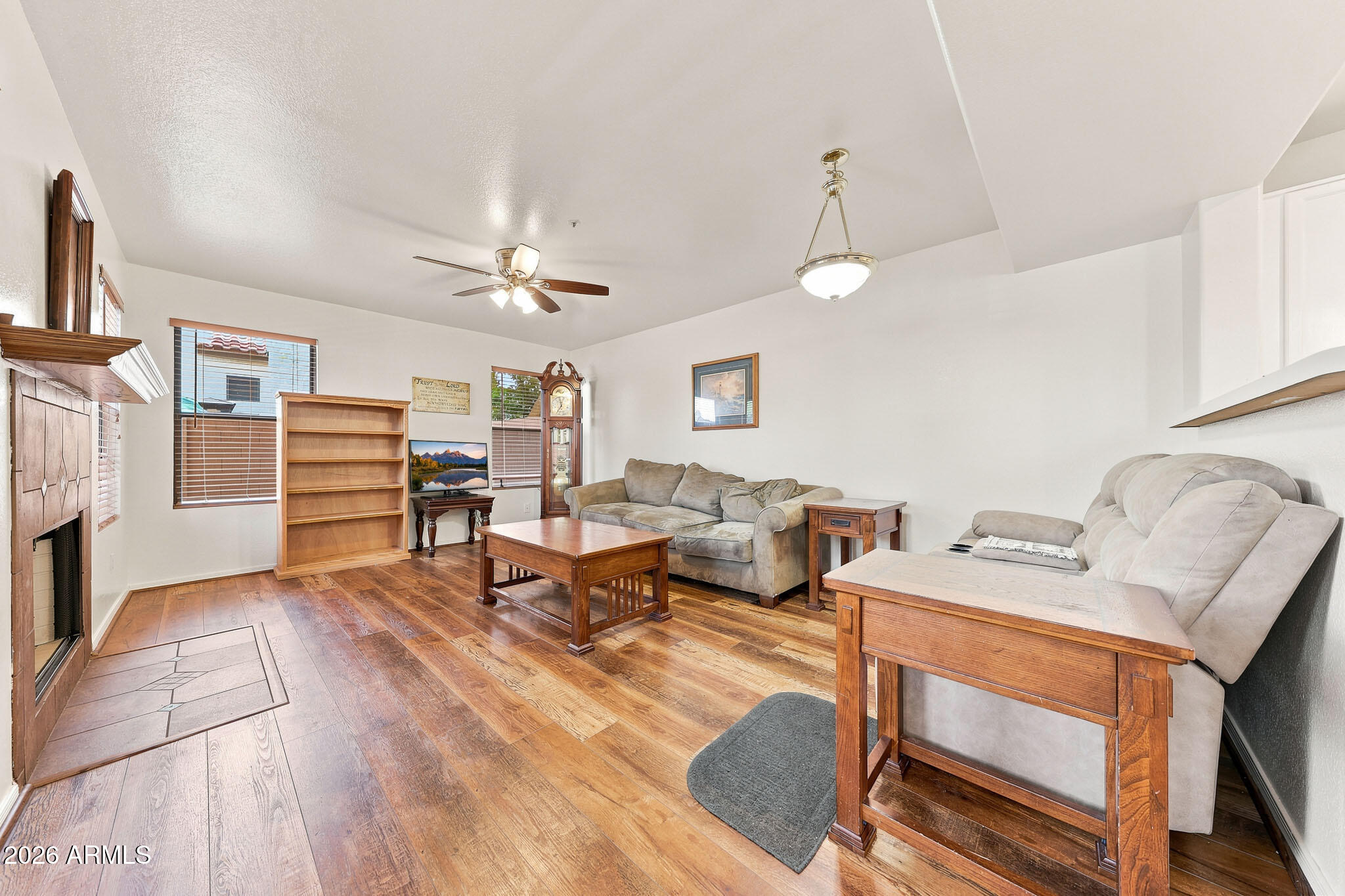 1138 W MANGO Drive