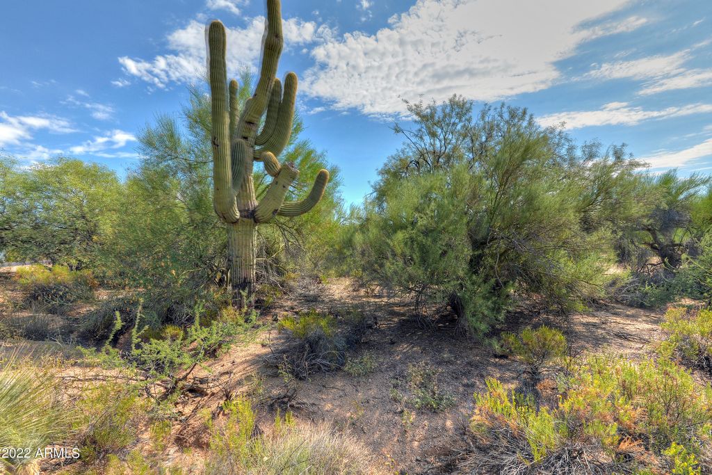 Photo of 9655 E Rising Sun Drive #23, Scottsdale, AZ 85262 (MLS # 6823895)