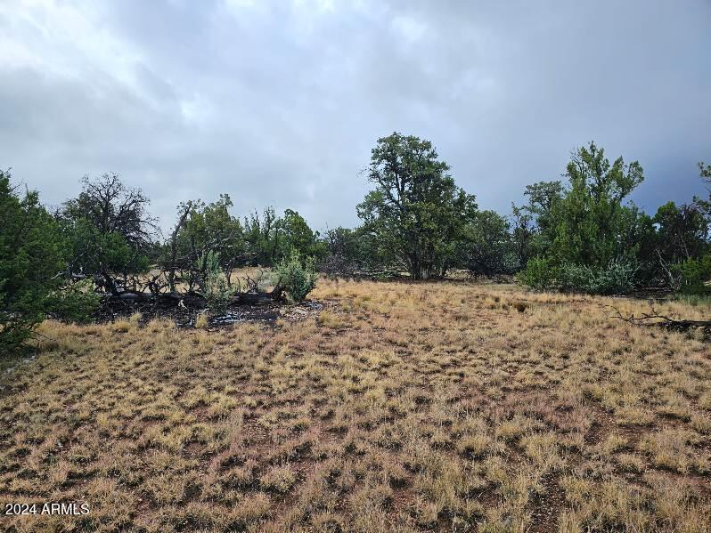 4127 N WINDY WALK Way 149